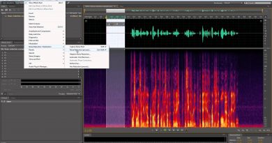 Remove Echo in Audio