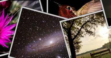 Magic Lantern – Expand your Canon DSLR