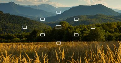 Understanding Your Camera’s Internal Light Meter and Metering Modes