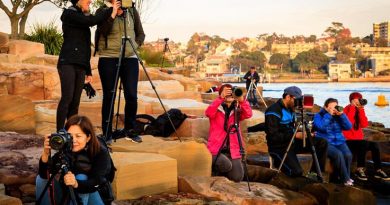Photography Workshops