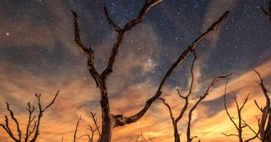 Stars & Photoshop