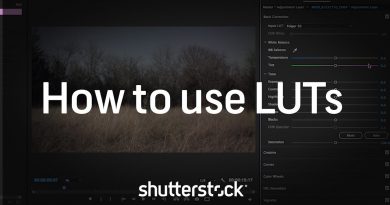 LUTs and Using Them