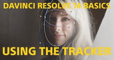 Resolve Basics The Tracker