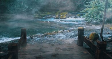 21 FREE 4K Fog Overlays for Video Editors and Motion Designers
