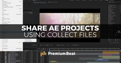 Share After Effects with Collect Files