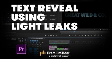 Light Leaks Text Reveal
