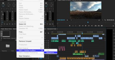 Export Multitrack Sessions from Audition