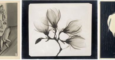 Find Free Images Online