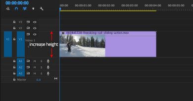 Time-Remapping in Premiere Pro