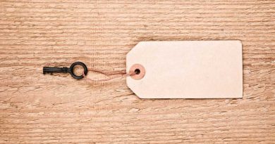 WordPress User Roles Explained